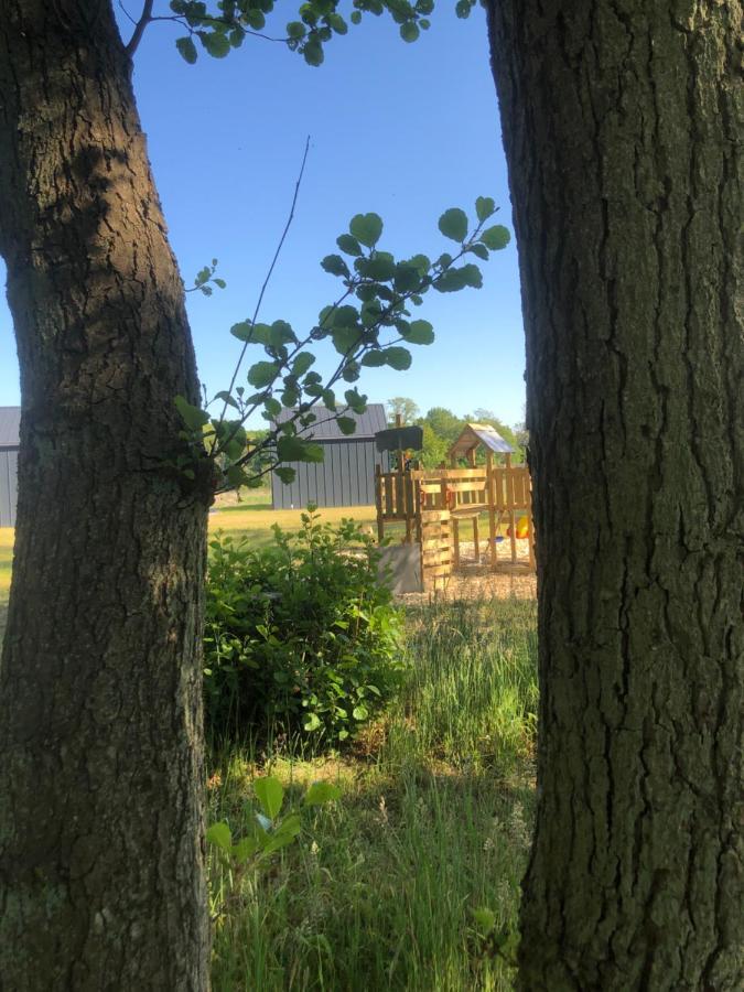 Morski Las Ustronie Morskie Exteriör bild